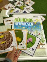 Sonderausstellung Bluehende Heuwiesen_ Fundreich